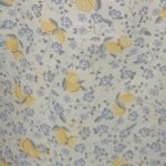 Lemon In Blue