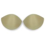 pd5 - bg